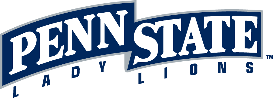 Penn State Nittany Lions 1996-2008 Wordmark Logo v3 diy DTF decal sticker